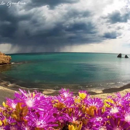 Joli T2 Plage De La Conque Cap D'Agde * 아그